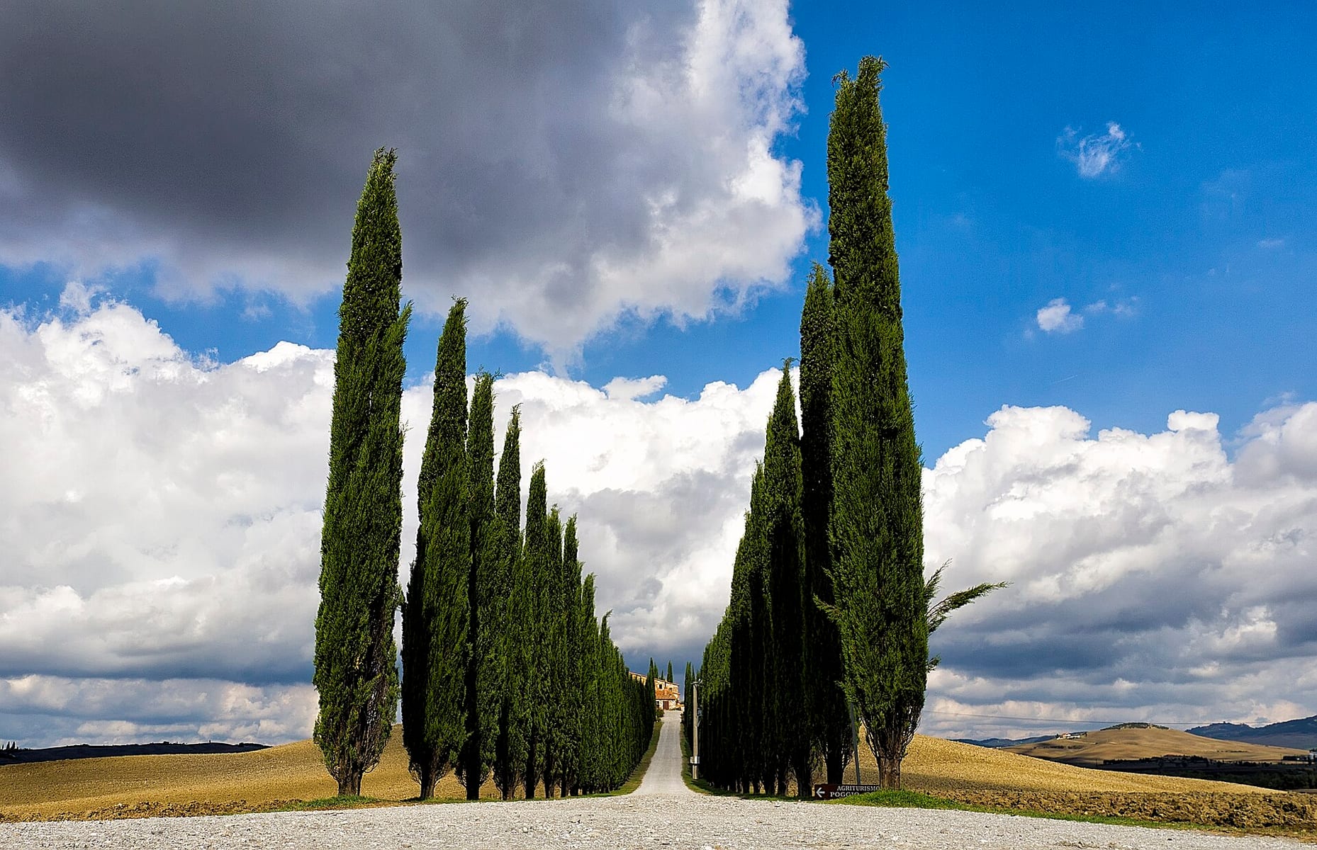 Destination weddings